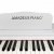 Цифровое пианино Amadeus Piano AP-125 White [200970] — фото 4 / 7