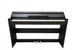 Цифровое пианино Amadeus Piano AP-800 Black [200981] — фото 1 / 1